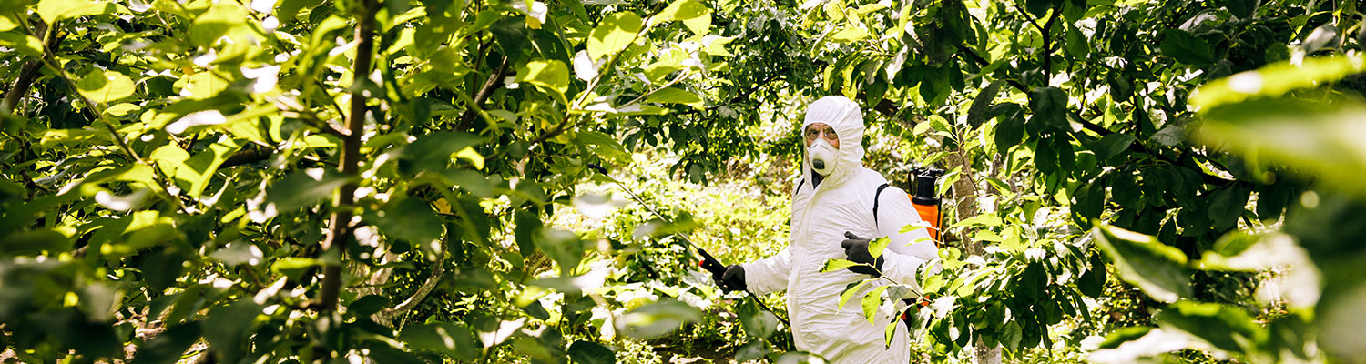 DOJ Asked For Its View On Californian Man's Roundup Lawsuit