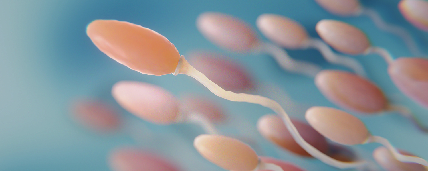 Study: Roundup Weed Killer Ingredient Found in Human Sperm