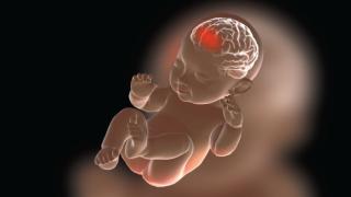 Johns Hopkins Bayview Hit With A Largest Verdict of $229M