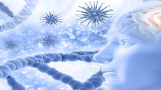 Mass Torts - Fluoroquinolone