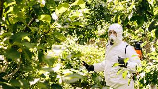 Migrant Workers Excluded From Roundup's $2B Deal