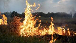 PG&E Agrees To Pay $125M In California Fire