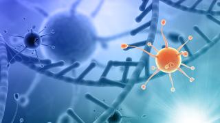 GSK Hid Zantac Cancer Risks for Decades, Lawsuit Alleges